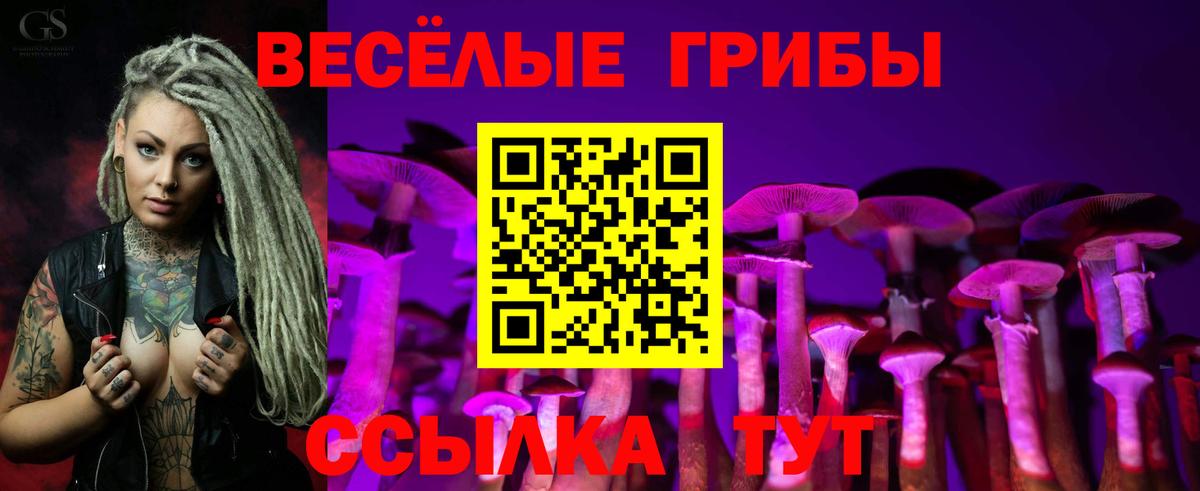 Галлюциногенные грибы Psilocybine cubensis  Вход с VPN  Луга  где продают   Псилоцибиновые грибы Psilocybine cubensis 
